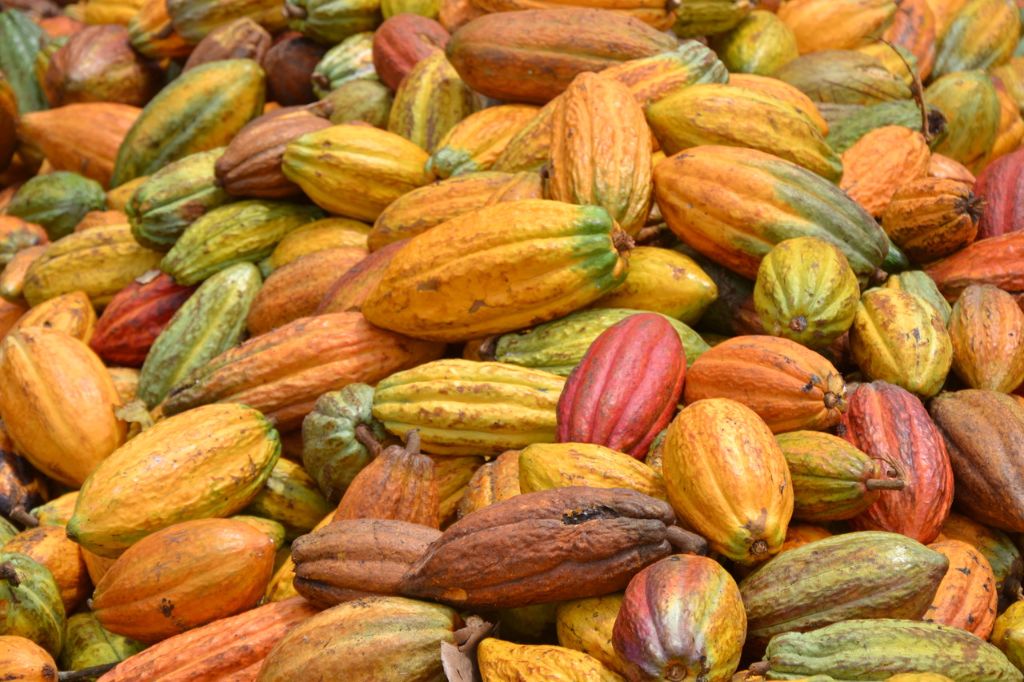 Récolte